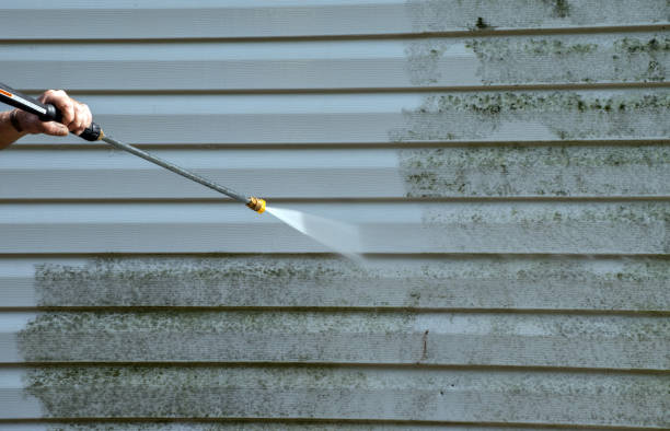 Best Residential Pressure Washing Services  in Glandorf, OH